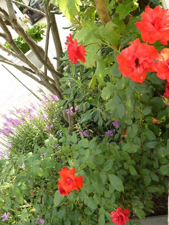 Apartments Bojanic Vodice Luaran gambar